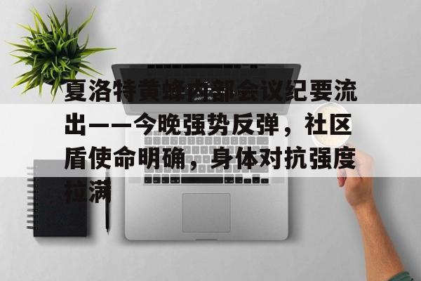 爱游戏体育关于夏洛特黄蜂内部会议纪要流出——今晚强势反弹，社区盾使命明确，身体对抗强度拉满的信息